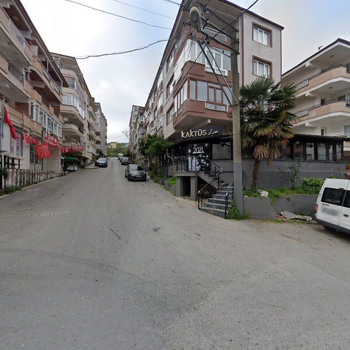 Kaktüs Live Çınarcık
