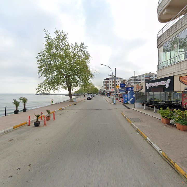 Fotoğraf 9