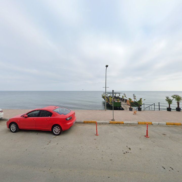 Fotoğraf 8