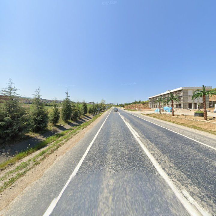 Fotoğraf 10