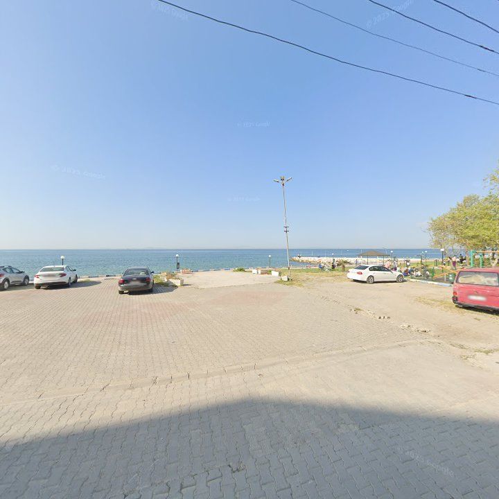 Fotoğraf 8