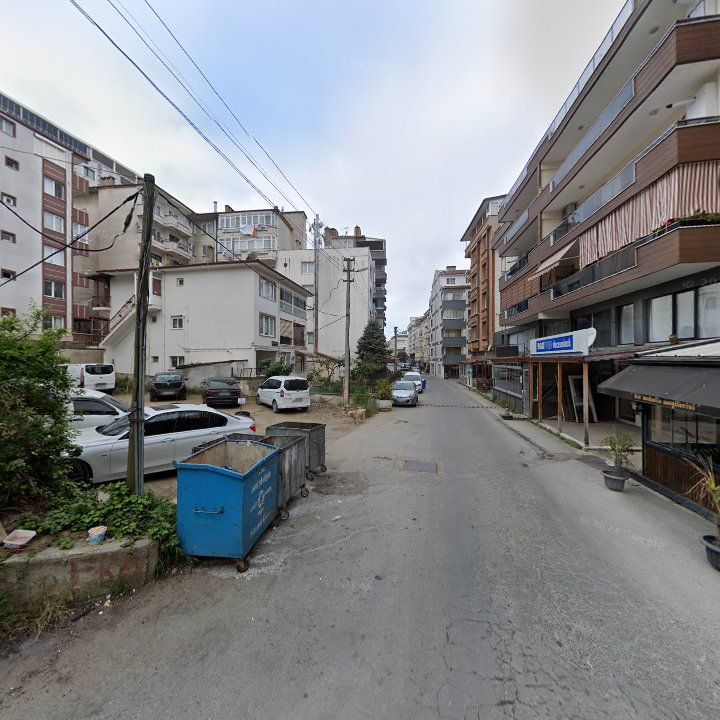 Fotoğraf 8