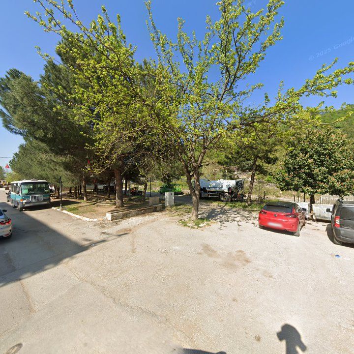 Fotoğraf 8
