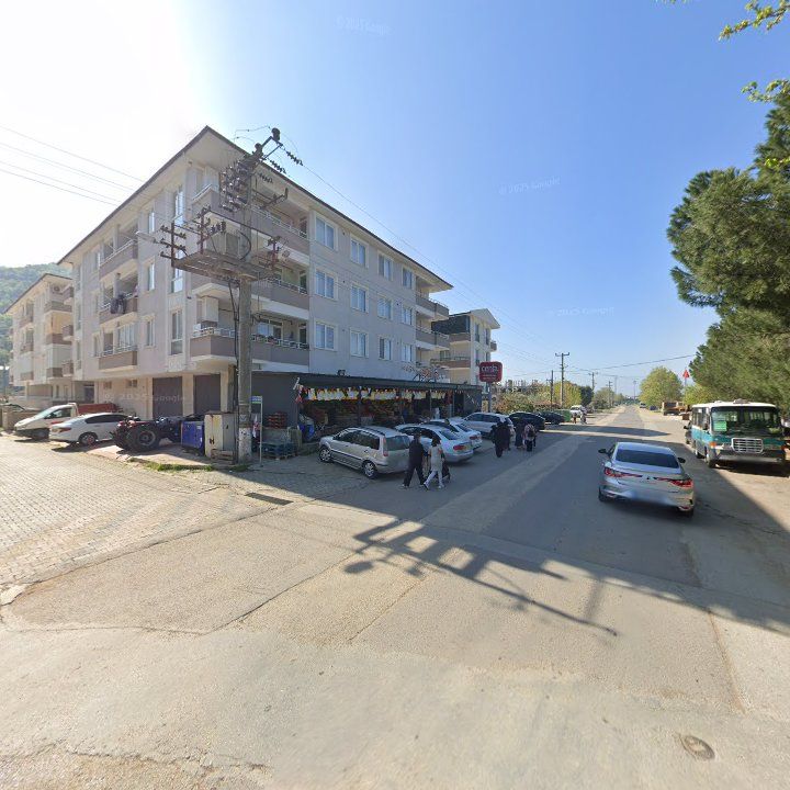 Fotoğraf 7