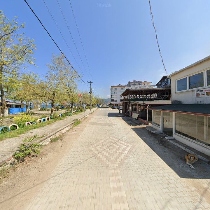 Fotoğraf 7