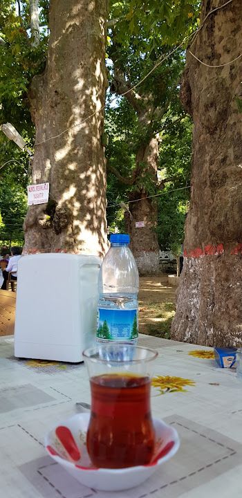 Fotoğraf 12