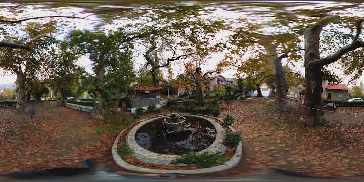 Fotoğraf 15