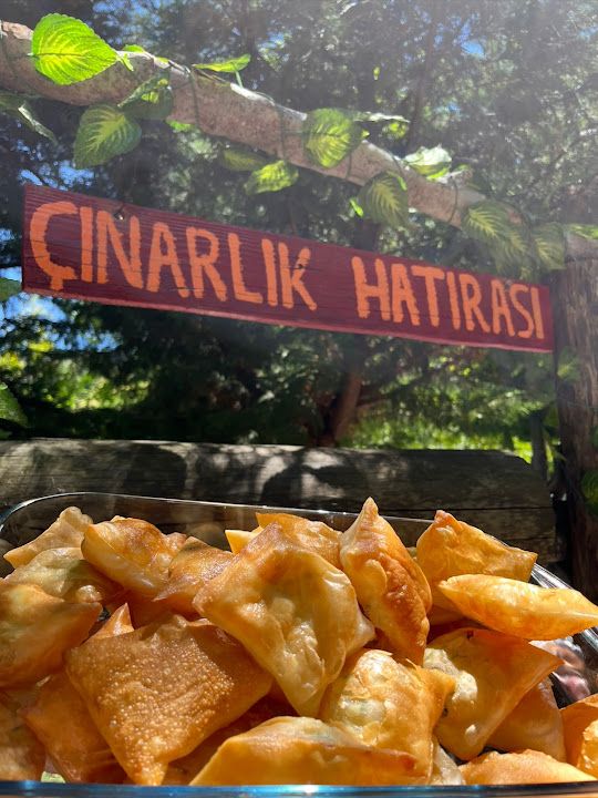 Fotoğraf 17