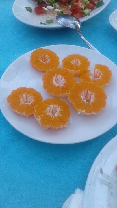 Fotoğraf 34