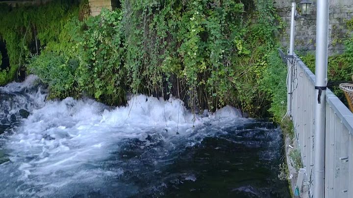 Yorum fotoğrafı 3