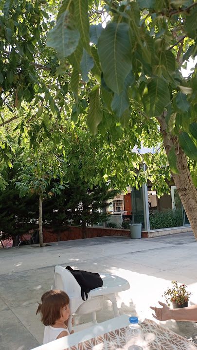 Yorum fotoğrafı 3