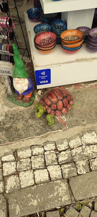 Fotoğraf 25