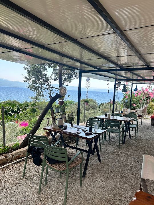 Fotoğraf 22