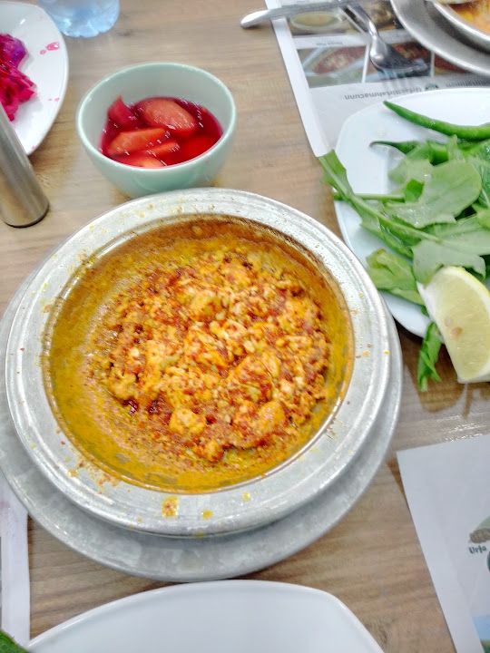 Fotoğraf 43
