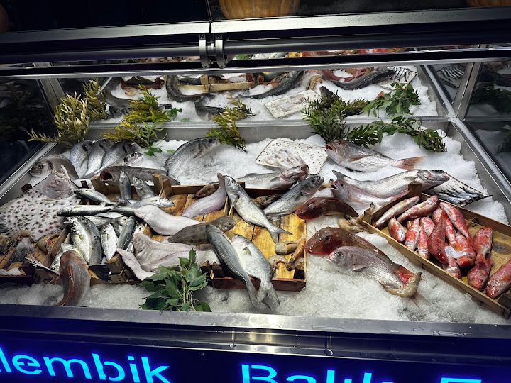 Yorum fotoğrafı 3