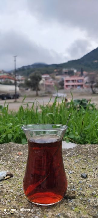 Fotoğraf 36