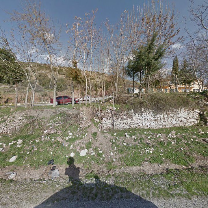 Fotoğraf 7
