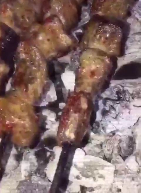 Fotoğraf 12