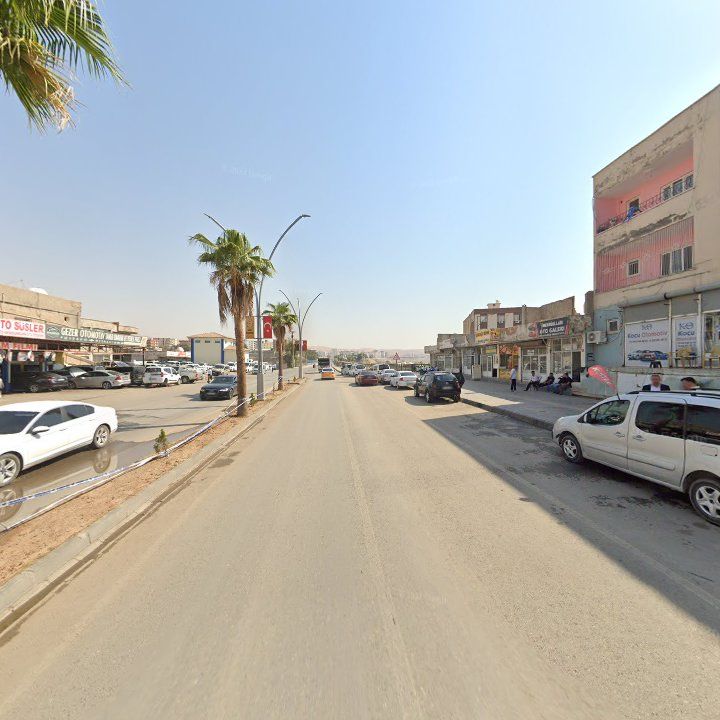 Fotoğraf 3