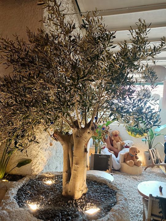 Fotoğraf 54
