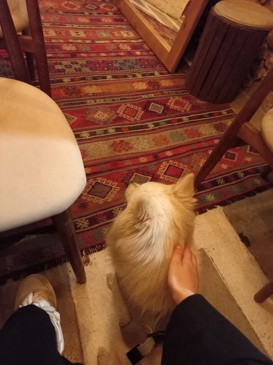 Yorum fotoğrafı 1