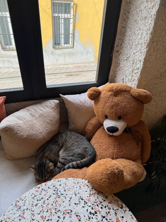 Yorum fotoğrafı 3