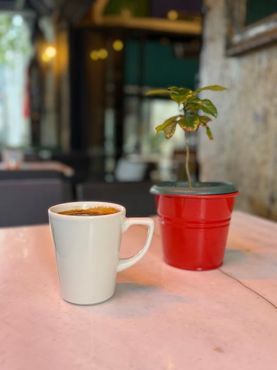 Fotoğraf 54