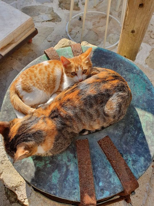 Fotoğraf 18