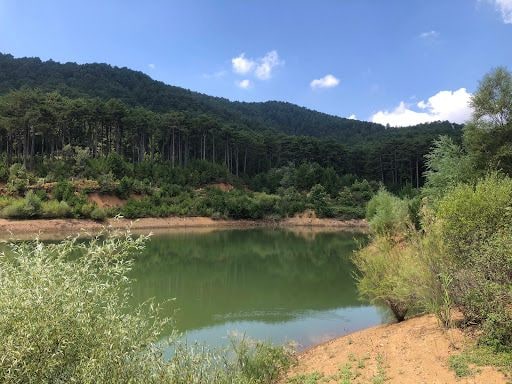 Fotoğraf 46