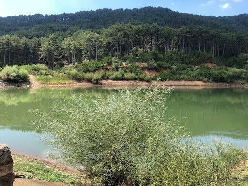Fotoğraf 47