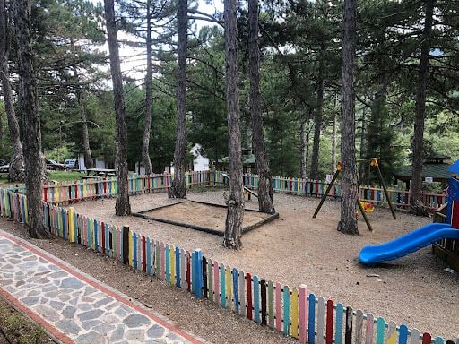 Fotoğraf 50