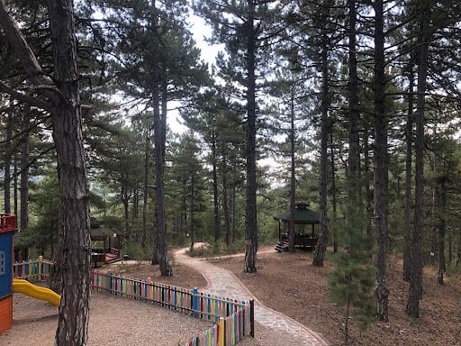 Fotoğraf 51