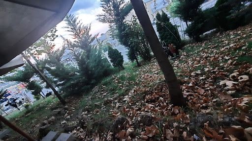 Fotoğraf 13