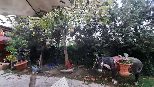Fotoğraf 14