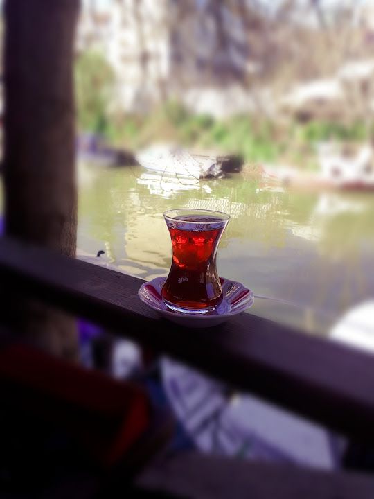 Fotoğraf 31