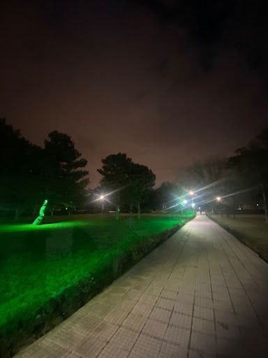 Fotoğraf 28