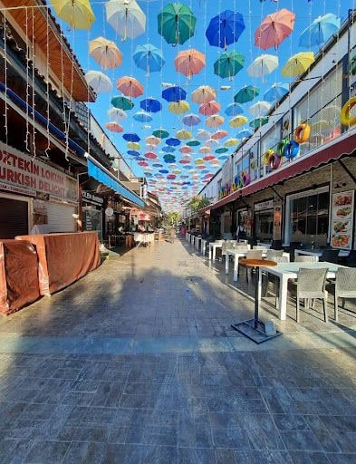 Fotoğraf 16