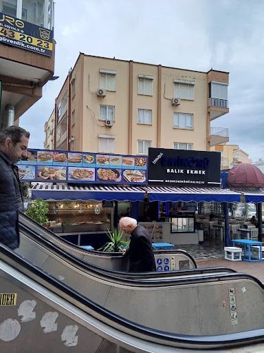 Fotoğraf 13