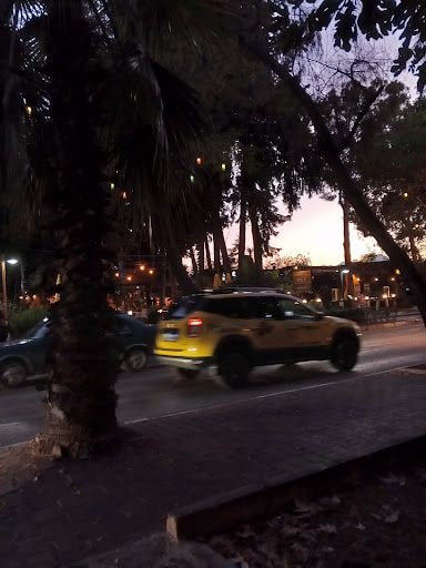 Fotoğraf 28
