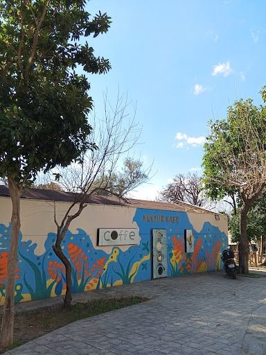 Fotoğraf 20