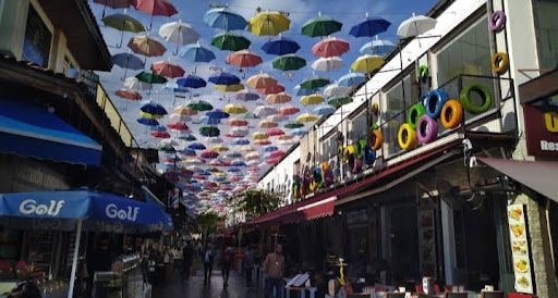 Fotoğraf 17