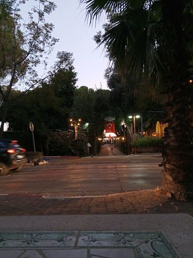 Fotoğraf 21