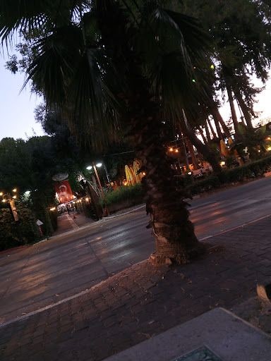 Fotoğraf 22