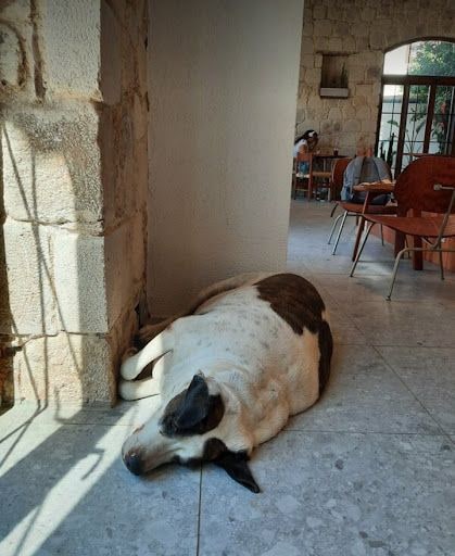 Yorum fotoğrafı 4