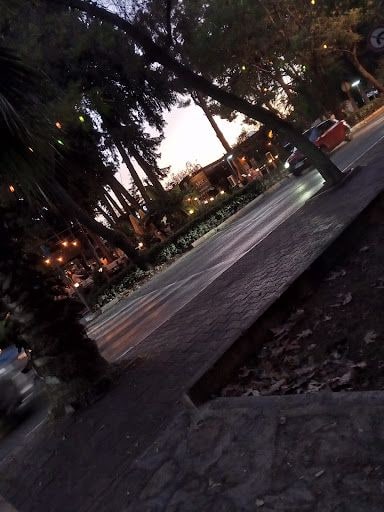 Fotoğraf 23