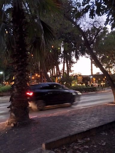 Fotoğraf 24