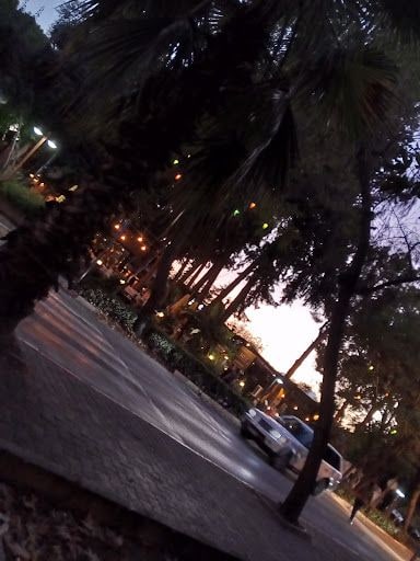 Fotoğraf 25