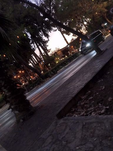 Fotoğraf 26