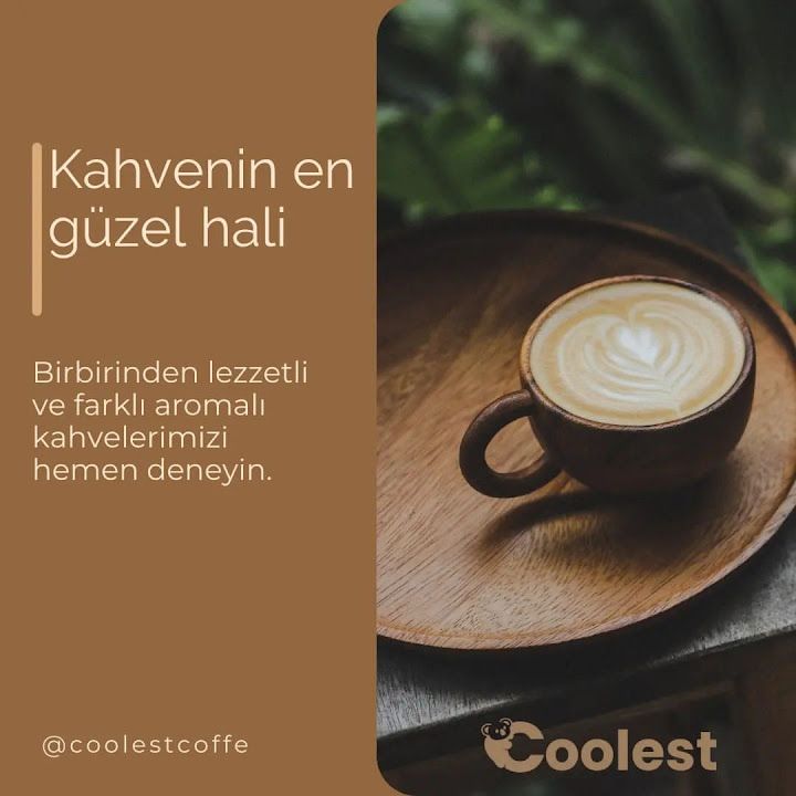 Fotoğraf 16