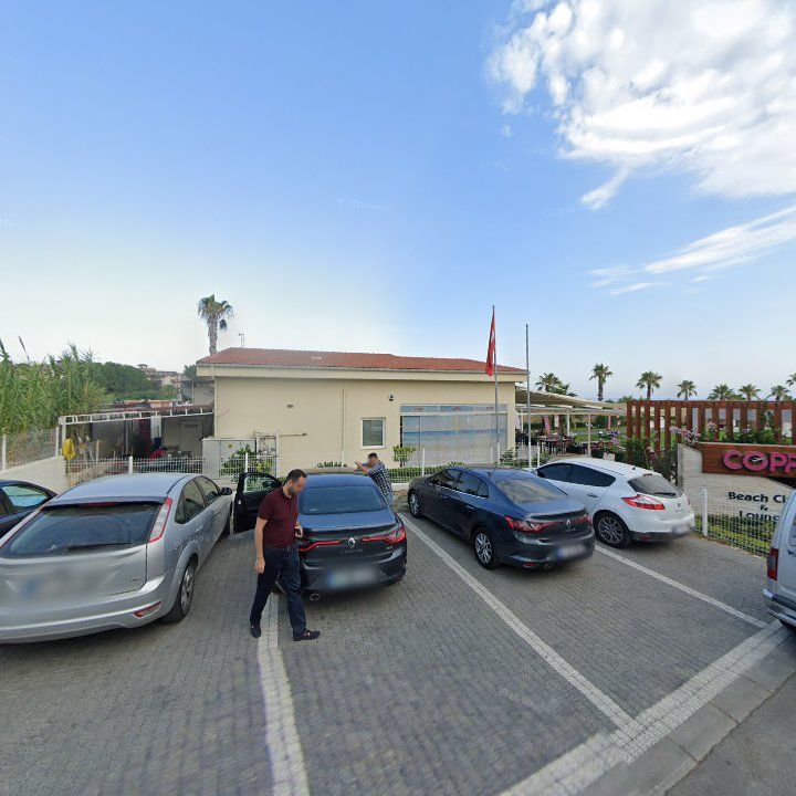 Fotoğraf 12